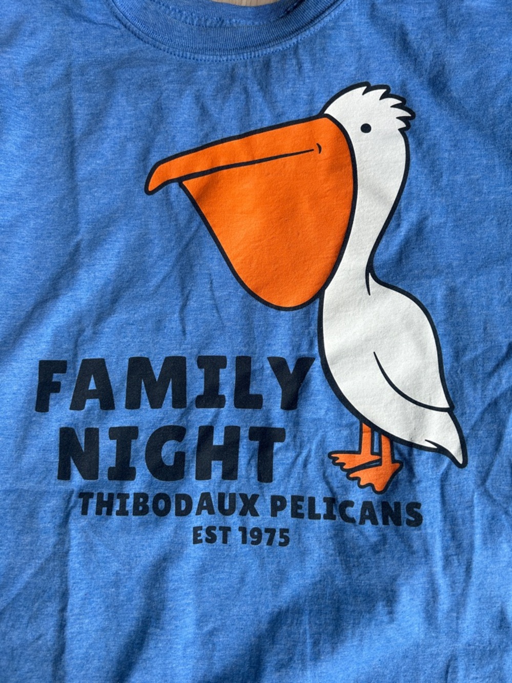 Family Night Pelican Tee L Heather Blue Orange MiLB Myrtle Beach Baseball